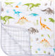 Stephen Joseph Blanket Stroller Green Dino