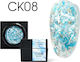 Canni Mineral Nail Art Gel CK08 5gr