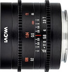 Laowa Crop Camera Lens T2.9mm T2.9 Zero-D Cine Wide Angle / Telephoto for Micro Four Thirds (MFT) Mount Black