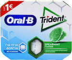 Trident 9 Chewing gum Oral-B with Δυόσμος Flavour Sugar Free 17gr