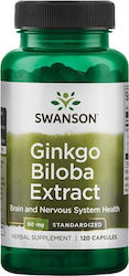 Swanson Ginkgo Biloba Extract 60mg 120 κάψουλες