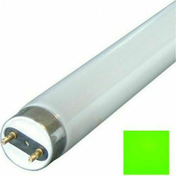 Vito Fluorescent Lamp with Shape T8 36W Green