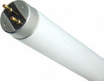 Fluorescent Lamp with Shape T8 18W