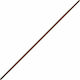 Olympus Sport Jo Tapper Bo Staff