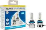 Narva Lămpi Autoturismului Range Performance H11 LED 6500K Alb rece 12-24V 24W 2buc