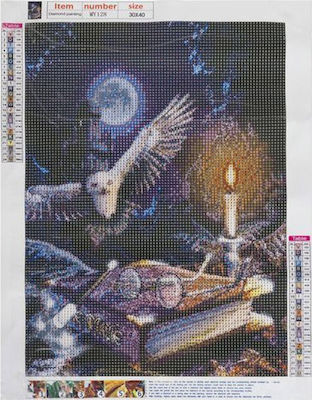 Pânză Diamond Painting Kit Set de pictură cu diamante bufniță 30x40cm