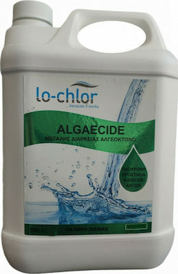 Water Treatment Hellas Μεγάλης Διάρκειας Pool Algaecide 5lt