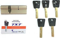 Cylinder Mul-t-lock 7x7 with Security Key-100mm(50x50) Nickel