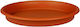 Viomes 262 Farfurie Pot Plastic Portocaliu 25x2...