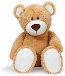 Nici Plush Bear Teddy 80 cm