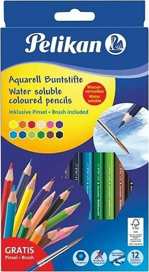 Pelikan Buntstifte Water Solube Coloured Pencils Farbstift-Set Aquarell 12Stück Packung von 1 Verpackungen