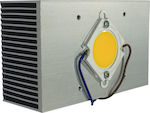 Aca LED Modul 20W Alb rece 1buc COB2065