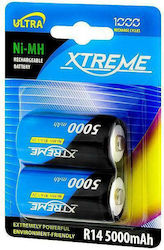XTREME C 5000mAh 1.2V 2Stück