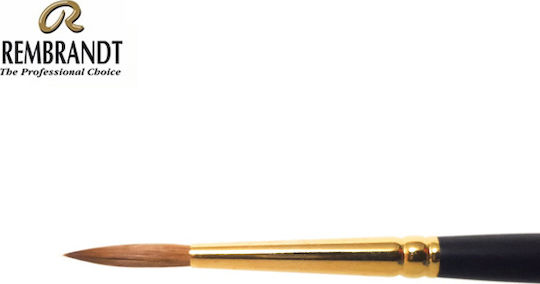 Royal Talens Rembrandt Pure Kolinsky Series Round Paint Brush No11