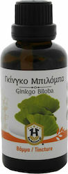 Herbstore Tincture Ginkgo Biloba Tincture 50ml