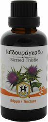 Herbstore Tincture Milk Thistle Tincture 50ml