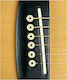 Daddario Plastic Bridge Pins Ivory/Ebony Dot
