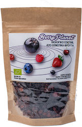 Aronia Bio Farm Bio-Mischung Ohne Zucker 100gr