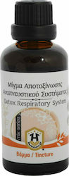 Herbstore Ρόφημα Μίγμα Αποτοξίνωσης Αναπνευστικού Συστήματος σε Σκόνη