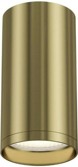 Maytoni Einzel Spot mit Fassung GU10 in Gold Farbe