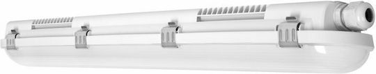 Ledvance Lumină Batten Pentru Exterior cu LED Integrat 60buc