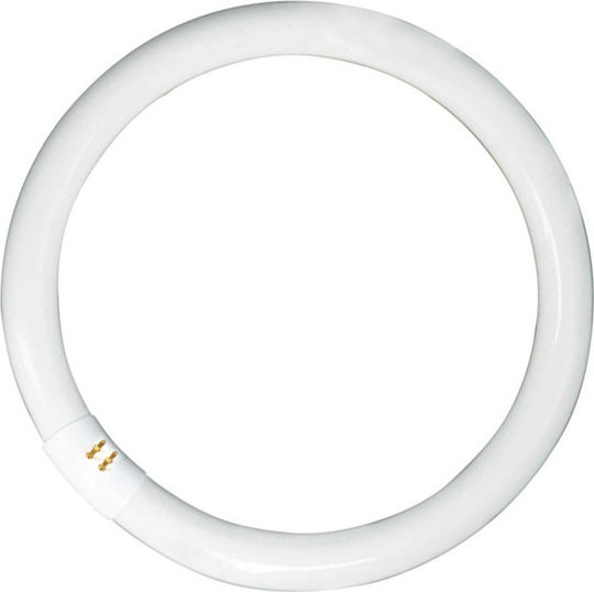 Osram Fluorescent Lamp T9 32W