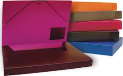 Typotrust Aktenbox 25x5x35cm (Μiverse Farben)