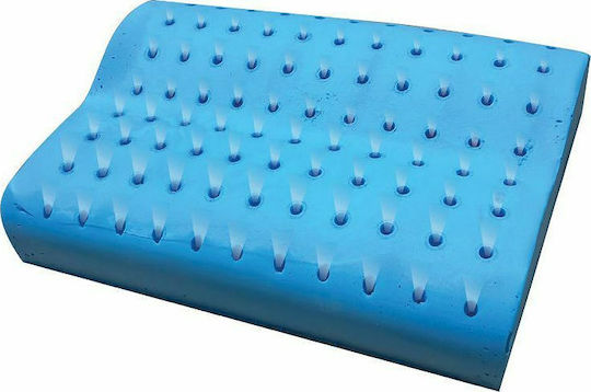Amve Memory WaterGel Air Pillow with Memory Foam & Hole 41x55x12.5cm 920926