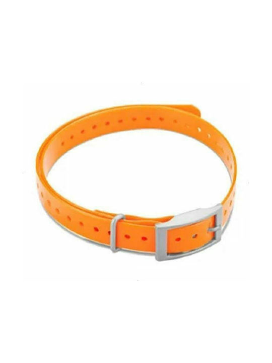 Garmin Hundehalsband in Orange Farbe