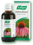 A.Vogel Echinaforce Echinacea Resistance Drops 50ml