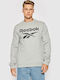 Sweatshirt Für Herren Grau