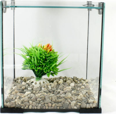 Mini Cube Νο1 Aquarium mit einer Kapazität von 6Es mit . Schwarz