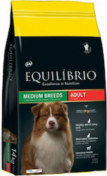 Equilibrio Adult Medium 12kg Equilibrio Adult Medium 12kg