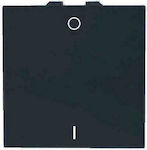 Geyer Recessed Wall Switch Commands One-Way without Frame Black