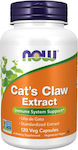 Now Foods Cat’s Claw Extract 120 φυτικές κάψουλες