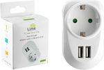 Lime Single Socket White