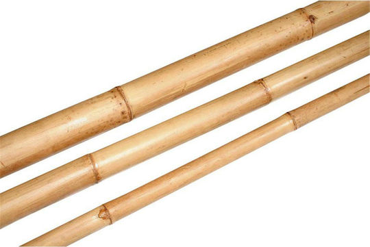 Atmosphera Bamboo Fence Pole for Garden Fencing from Bamboo 210x8x8 cm