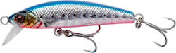 Savage Gear Gravity Minnow Τεχνητό Δόλωμα Ψαράκι (Minnow) No14 5εκ./8gr Pink Belly Sardine PHP Savage Gear Gravity Minnow Τεχνητό Δόλωμα Ψαράκι (Minnow) No14 5εκ./8gr Pink Belly Sardine PHP