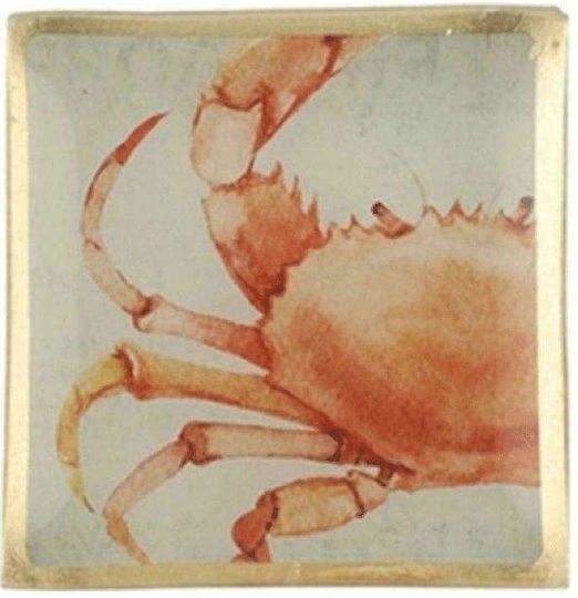 Atmosphera Crab Platou Decorativ Pătrată Sticlă Orange 1buc 10x10buc