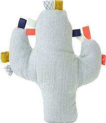 Kikadu Rattle Cactus