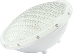Aca Pool-Scheinwerfer mit Mehrfarbigem (RGB) Licht PAR56 20W 12V RGB IP68 Φ178mm PAR5620RGBN Aca Pool-Scheinwerfer mit Mehrfarbigem (RGB) Licht PAR56 20W 12V RGB IP68 Φ178mm PAR5620RGBN