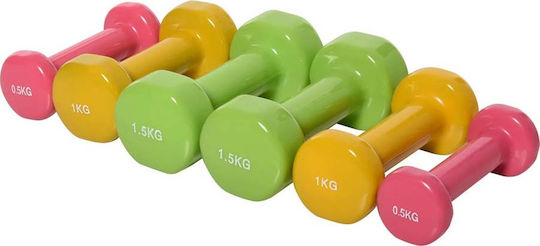 HomCom Set De Haltere 1 Bucată Greutate Totală 6kg