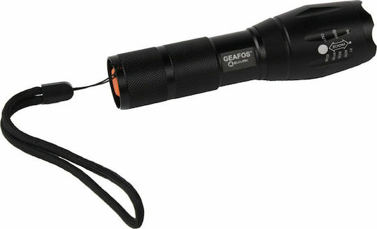 Evivak Taschenlampe LED mit maximaler Helligkeit 200lm 12Stück