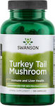 Swanson Turkey Tail Mushroom 500mg 120 κάψουλες