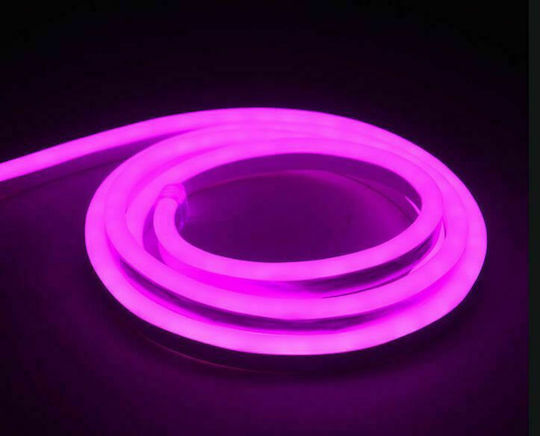 Universe Αδιάβροχη Ταινία LED 12V Μωβ Φως 5m Neon Flex