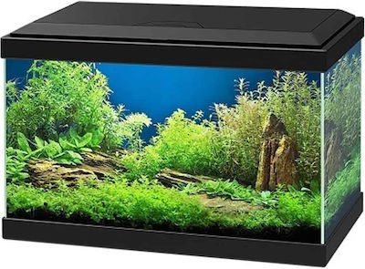 Ciano Aqua 20 Fish Aquarium Capacity 17lt with Lighting, Filter and 40x20x26cm. Black