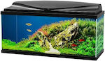 Ciano Aqua 80 Aquarium mit einer Kapazität von 71Es mit Beleuchtung, Filter und 80x30x41.5cm. Schwarz