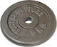 Body Sculpture Metal Plate 1 x 5kg Ø27mm