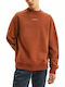 Calvin Klein Men's Sweatshirt Brown