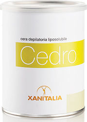 Xanitalia Facial & Body Canned Hair Removal Wax Κίτρο 800ml